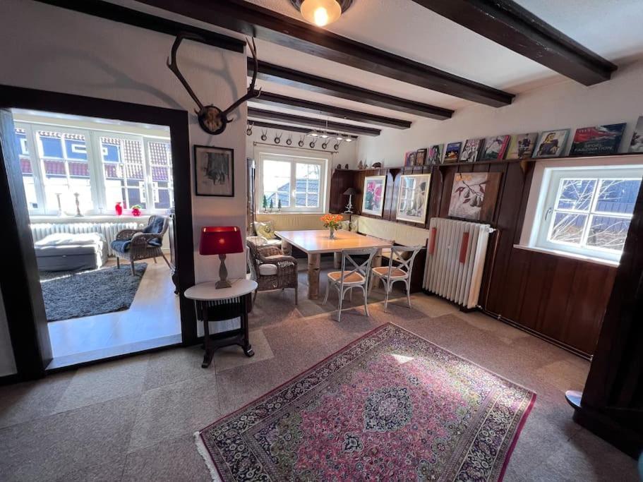 Villa Herzog - Ferienhaus Fuer 6 Personen In Braunlage, Harz 外观 照片