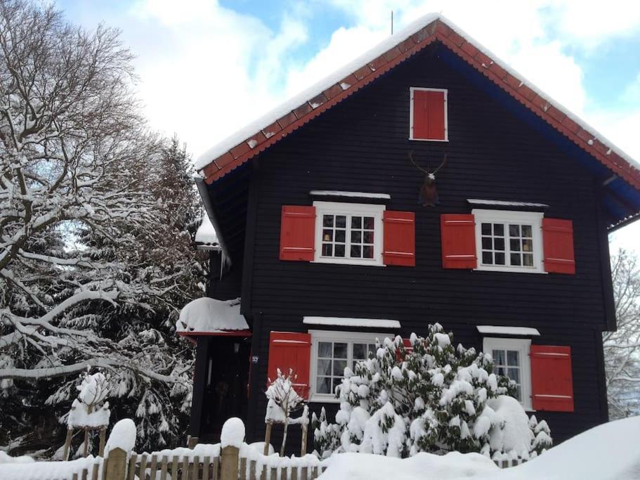 Villa Herzog - Ferienhaus Fuer 6 Personen In Braunlage, Harz 外观 照片